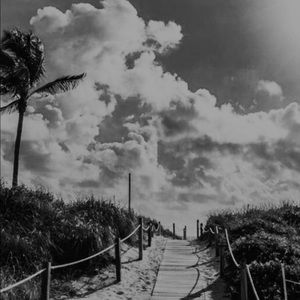 Meet your Posher, Callie